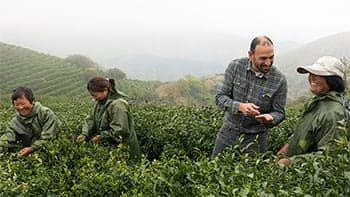 tea workers and buyer happily discussing tea leaves in a field of tea plants